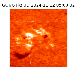 gong - 2024-11-12T05:00:02