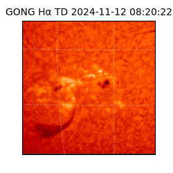 gong - 2024-11-12T08:20:22