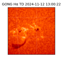 gong - 2024-11-12T13:00:22