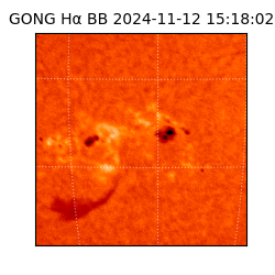 gong - 2024-11-12T15:18:02