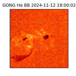 gong - 2024-11-12T18:00:02