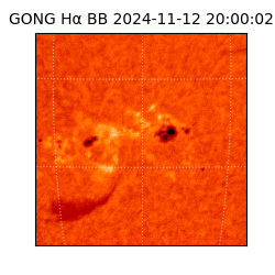 gong - 2024-11-12T20:00:02