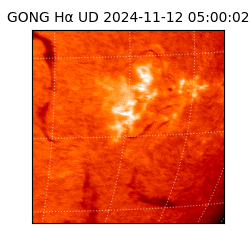 gong - 2024-11-12T05:00:02