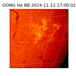 gong - 2024-11-12T17:00:02