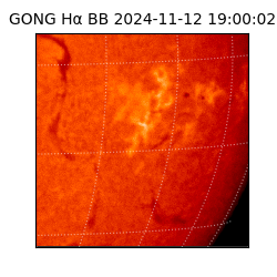 gong - 2024-11-12T19:00:02