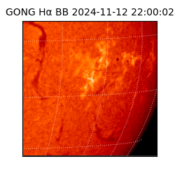 gong - 2024-11-12T22:00:02