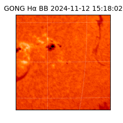 gong - 2024-11-12T15:18:02