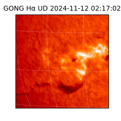 gong - 2024-11-12T02:17:02