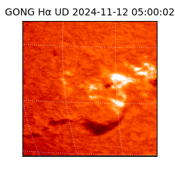 gong - 2024-11-12T05:00:02