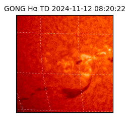 gong - 2024-11-12T08:20:22