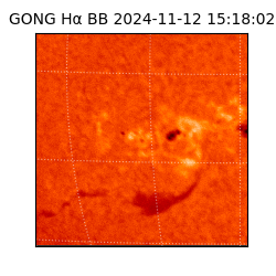 gong - 2024-11-12T15:18:02