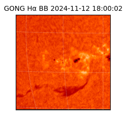 gong - 2024-11-12T18:00:02