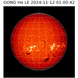 gong - 2024-11-12T01:00:42