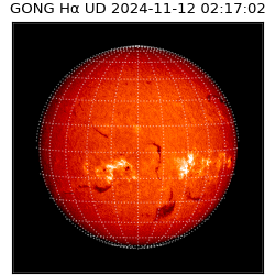 gong - 2024-11-12T02:17:02