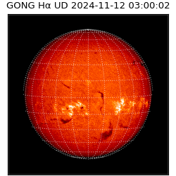 gong - 2024-11-12T03:00:02