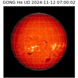 gong - 2024-11-12T07:00:02