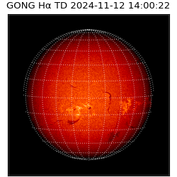 gong - 2024-11-12T14:00:22