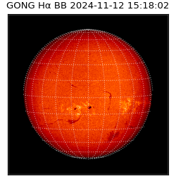 gong - 2024-11-12T15:18:02