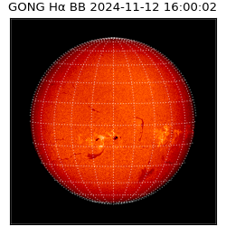 gong - 2024-11-12T16:00:02