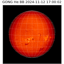 gong - 2024-11-12T17:00:02