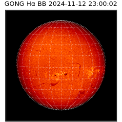 gong - 2024-11-12T23:00:02