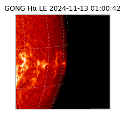 gong - 2024-11-13T01:00:42