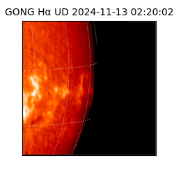 gong - 2024-11-13T02:20:02