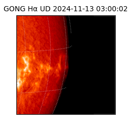 gong - 2024-11-13T03:00:02