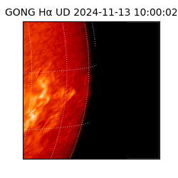 gong - 2024-11-13T10:00:02