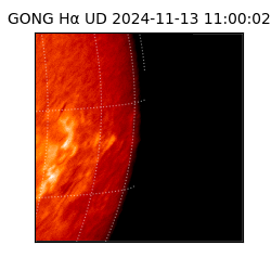 gong - 2024-11-13T11:00:02
