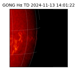 gong - 2024-11-13T14:01:22