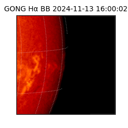 gong - 2024-11-13T16:00:02