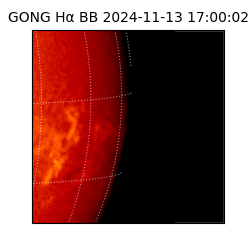 gong - 2024-11-13T17:00:02