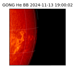 gong - 2024-11-13T19:00:02