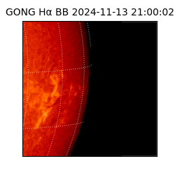 gong - 2024-11-13T21:00:02