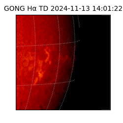 gong - 2024-11-13T14:01:22