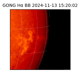 gong - 2024-11-13T15:20:02