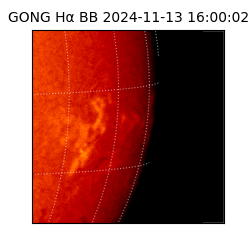 gong - 2024-11-13T16:00:02