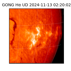 gong - 2024-11-13T02:20:02