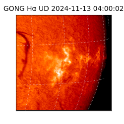 gong - 2024-11-13T04:00:02