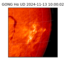 gong - 2024-11-13T10:00:02