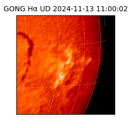 gong - 2024-11-13T11:00:02