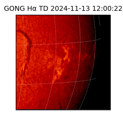 gong - 2024-11-13T12:00:22