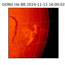 gong - 2024-11-13T16:00:02