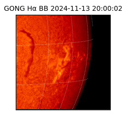 gong - 2024-11-13T20:00:02