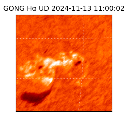 gong - 2024-11-13T11:00:02