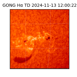 gong - 2024-11-13T12:00:22