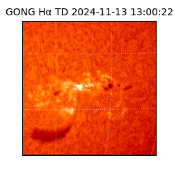 gong - 2024-11-13T13:00:22