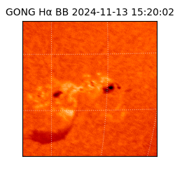 gong - 2024-11-13T15:20:02