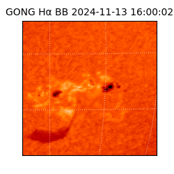 gong - 2024-11-13T16:00:02